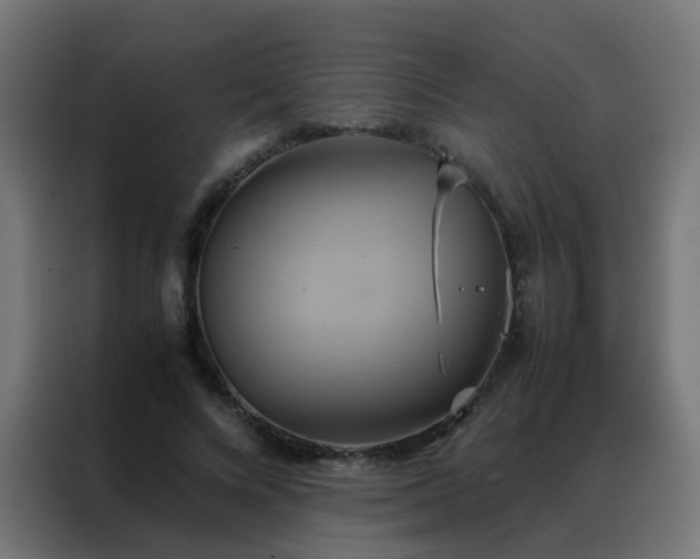 X0000088210688200705221744
