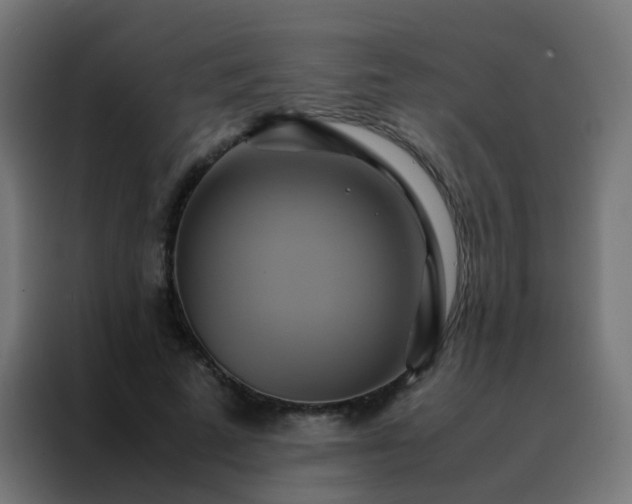 X0000088210689200705221744