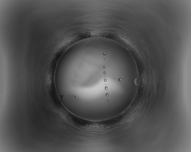 X0000088210691200705221744