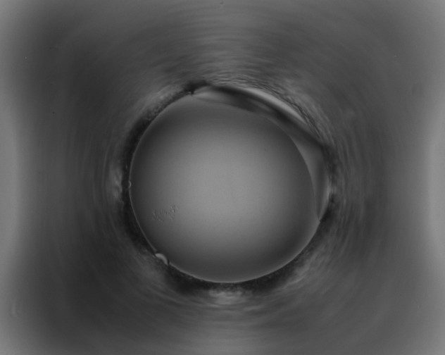 X0000088210693200705221744