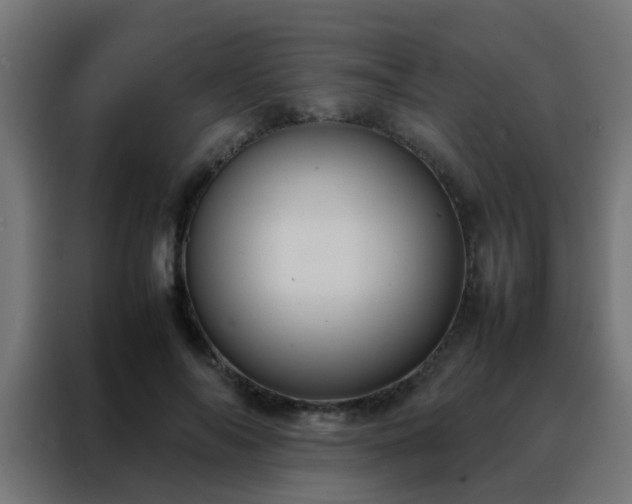 X0000088210694200705221744