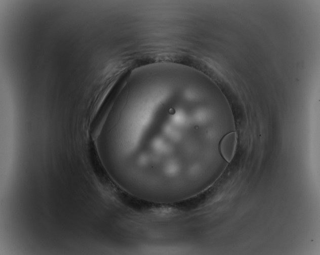 X0000088210695200705221744