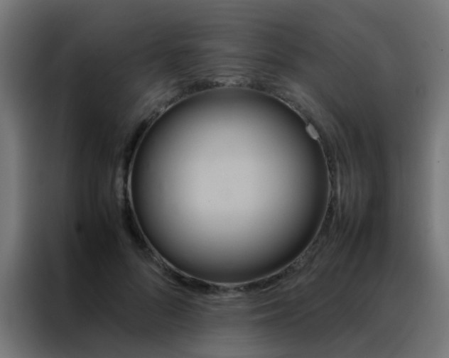 X0000088210696200705221743