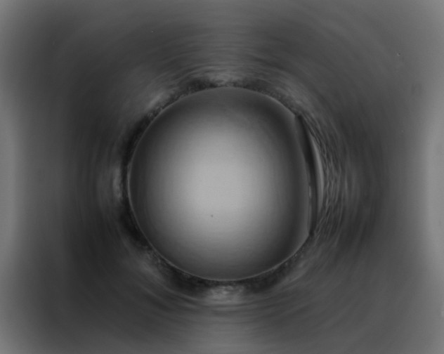 X0000088210700200705221743