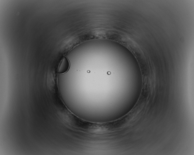 X0000088210702200705221743