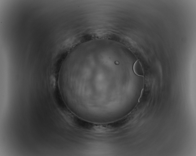 X0000088210703200705221743
