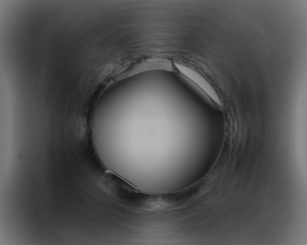 X0000088210704200705221743