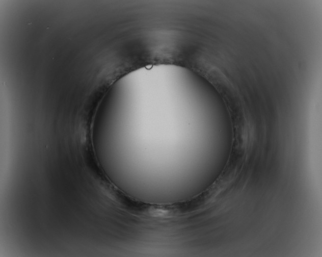 X0000088210706200705221743