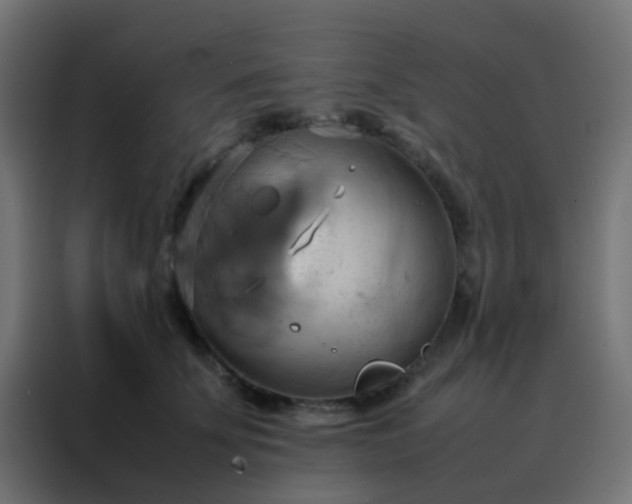 X0000088210707200705221743