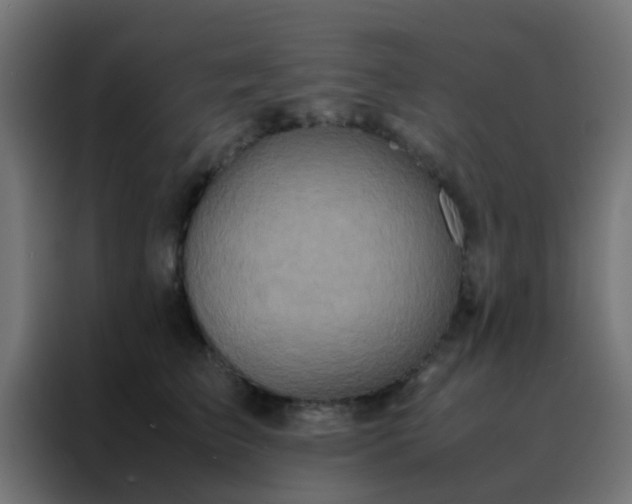 X0000088210709200705221743