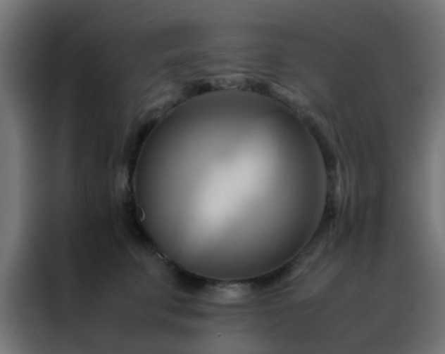 X0000088210711200705221743