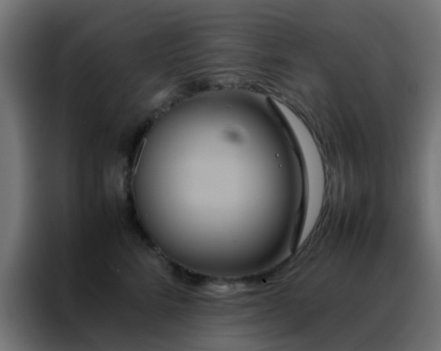 X0000088210712200705221743