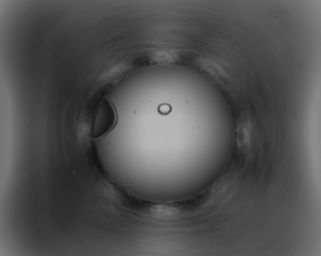 X0000088210714200705221743