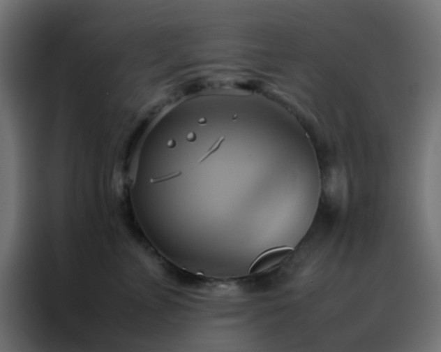 X0000088210715200705221743