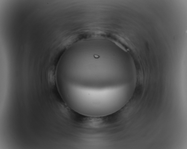 X0000088210719200705221743