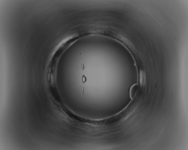 X0000088210723200705221743