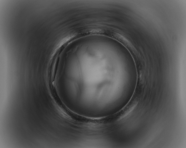 X0000088210725200705221743