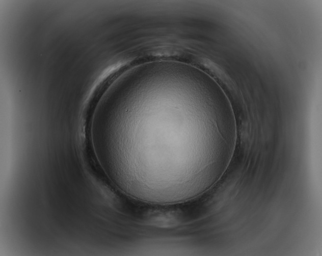 X0000088210727200705221743