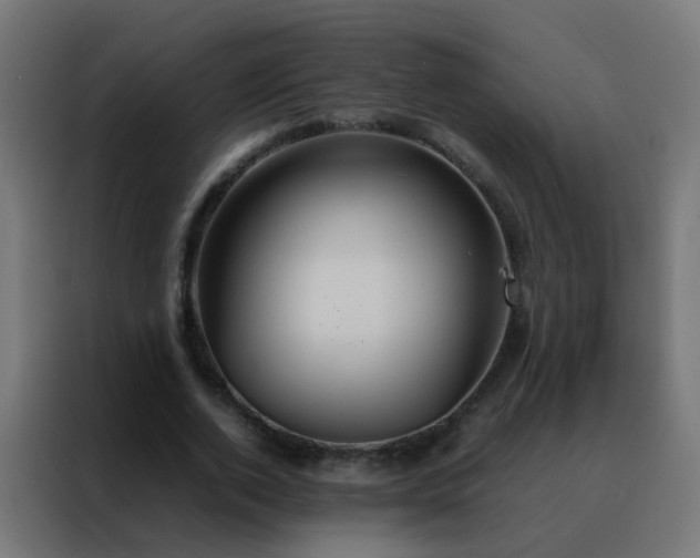 X0000088210728200705221743