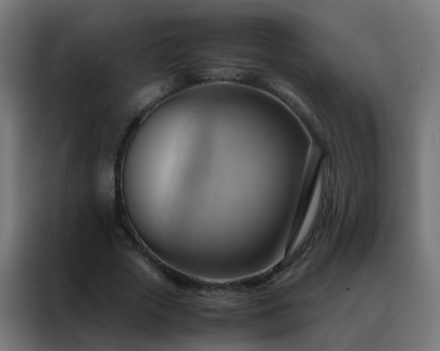 X0000088210729200705221743