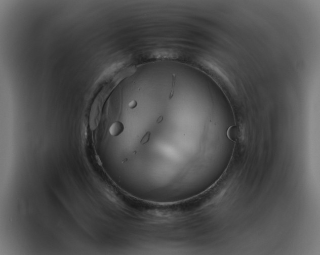 X0000088210733200705221743