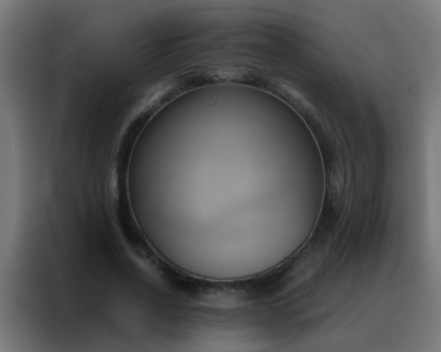 X0000088210734200705221743