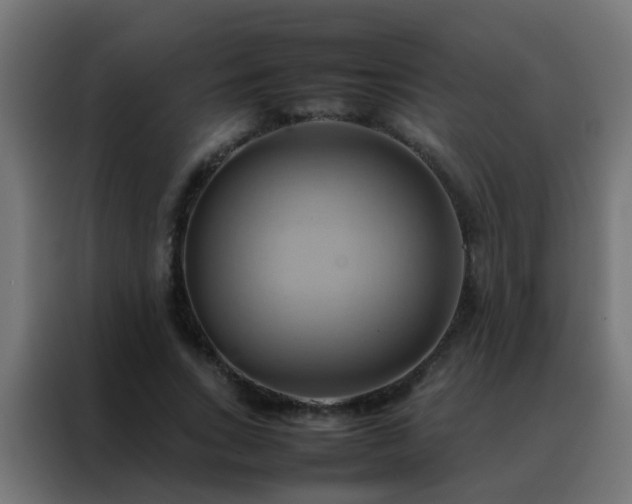 X0000088210735200705221743