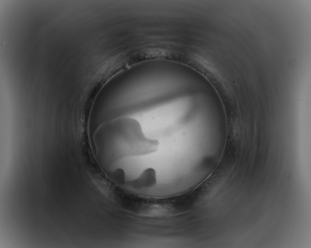 X0000088210737200705221743