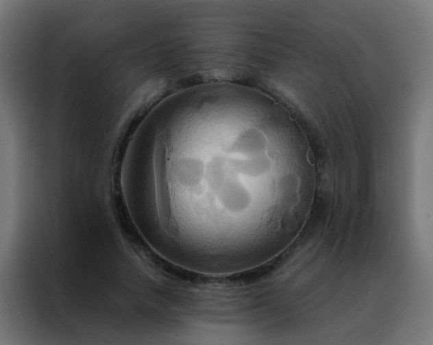 X0000088210738200705221743