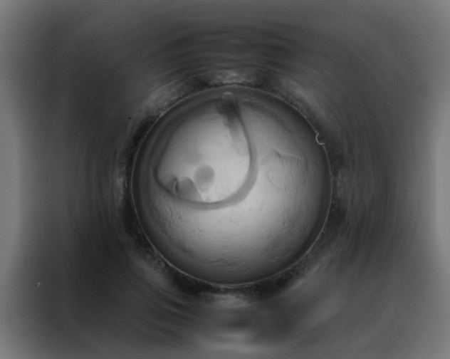 X0000088210741200705221743