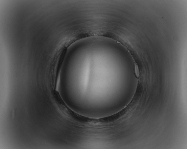 X0000088210742200705221743