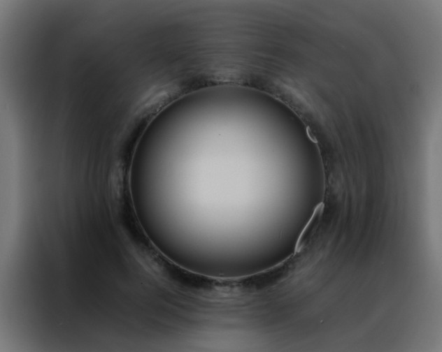 X0000088210744200705221743