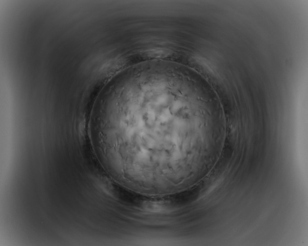 X0000088210745200705221743