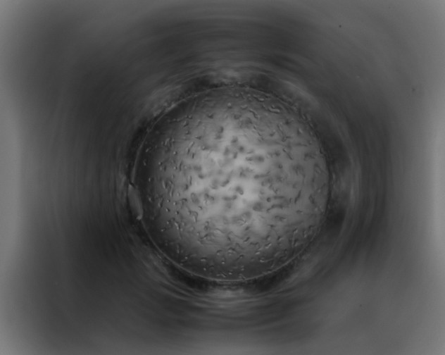 X0000088210749200705221743