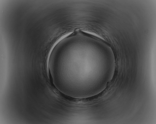 X0000088210750200705221743
