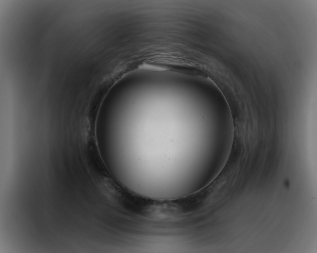 X0000088210752200705221743