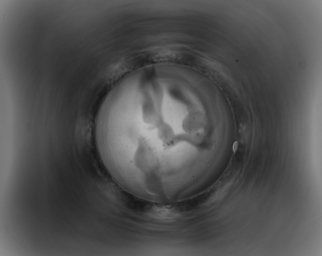X0000088210753200705221743