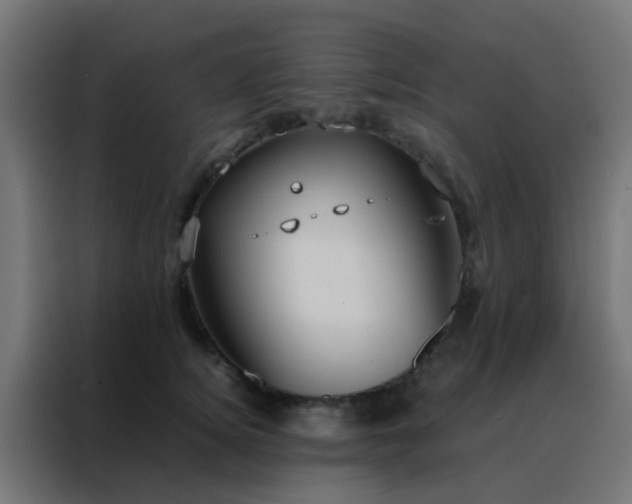 X0000088210756200705221743