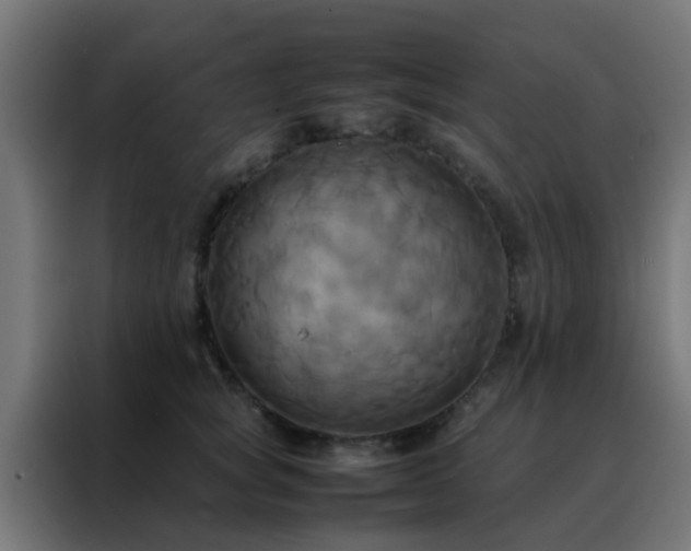 X0000088210757200705221743