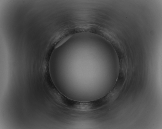 X0000088210758200705221743