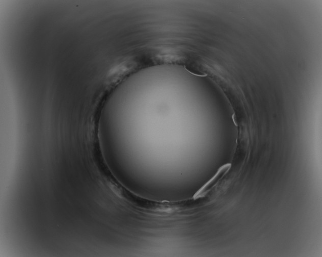 X0000088210760200705221743