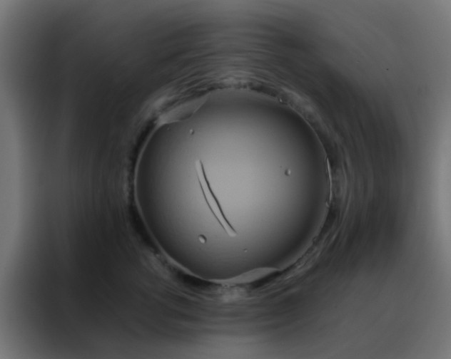 X0000088210762200705221743