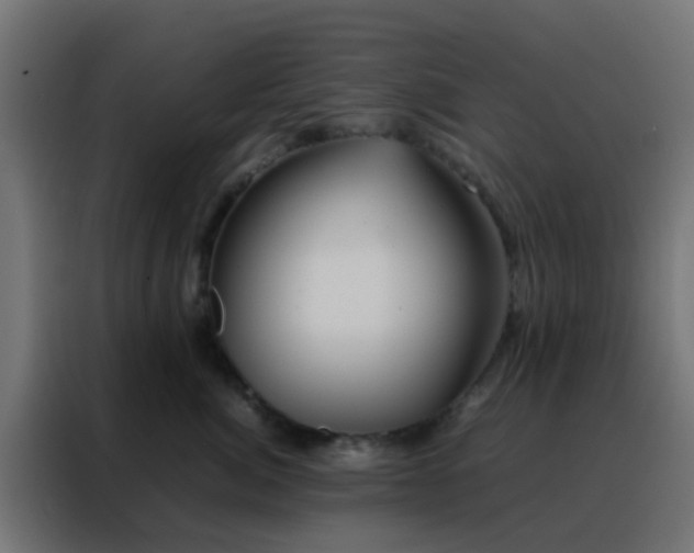 X0000088210764200705221743