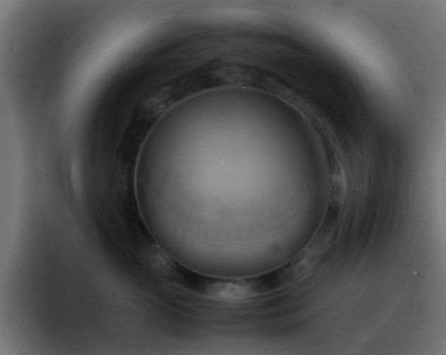 X0000088210765200705221743