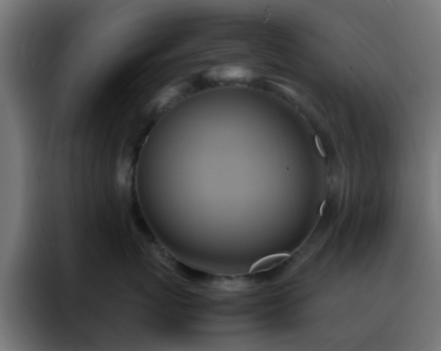X0000088210767200705221743