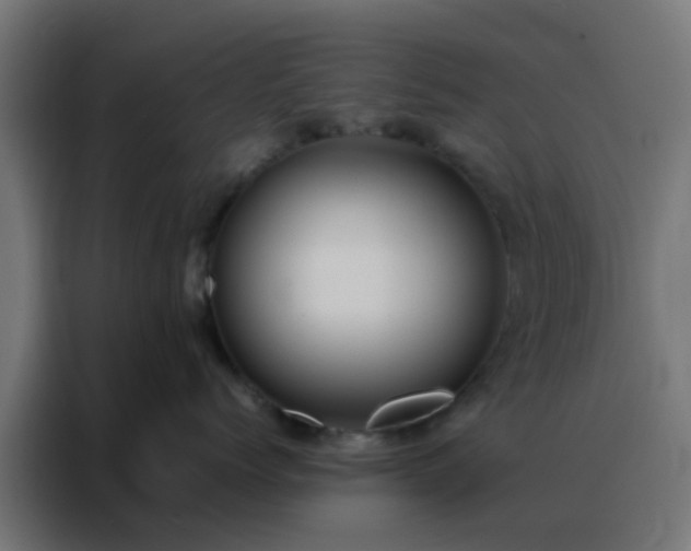 X0000088210768200705221743