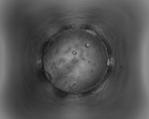 X0000088210771200705221743