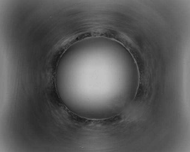 X0000088210773200705221742