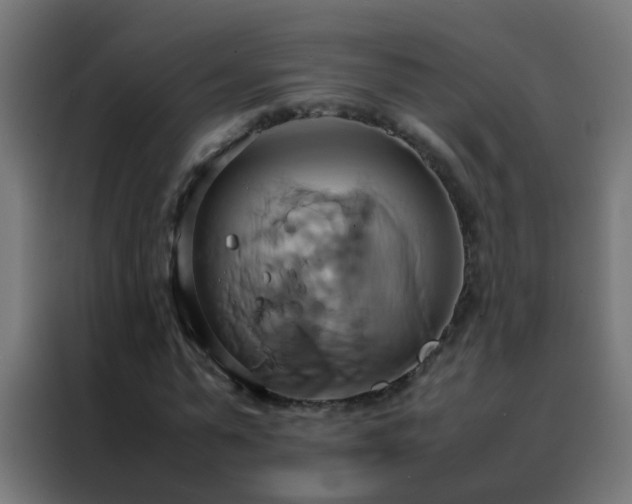 X0000088210775200705221742