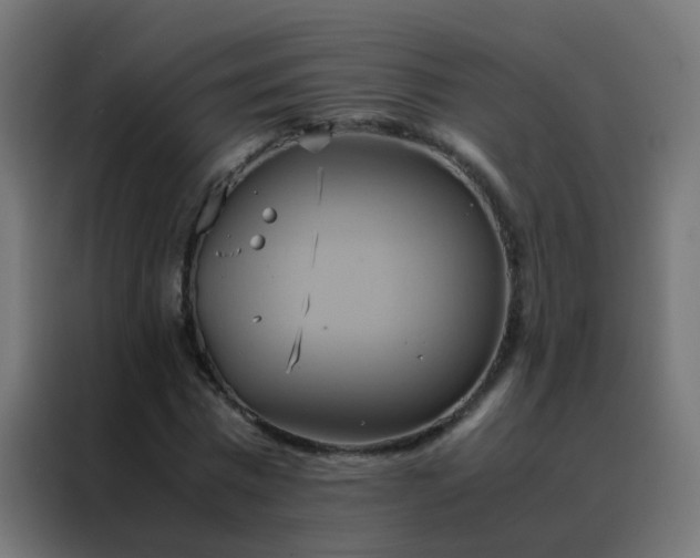 X0000088210777200705221742